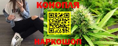 мдпв Апшеронск