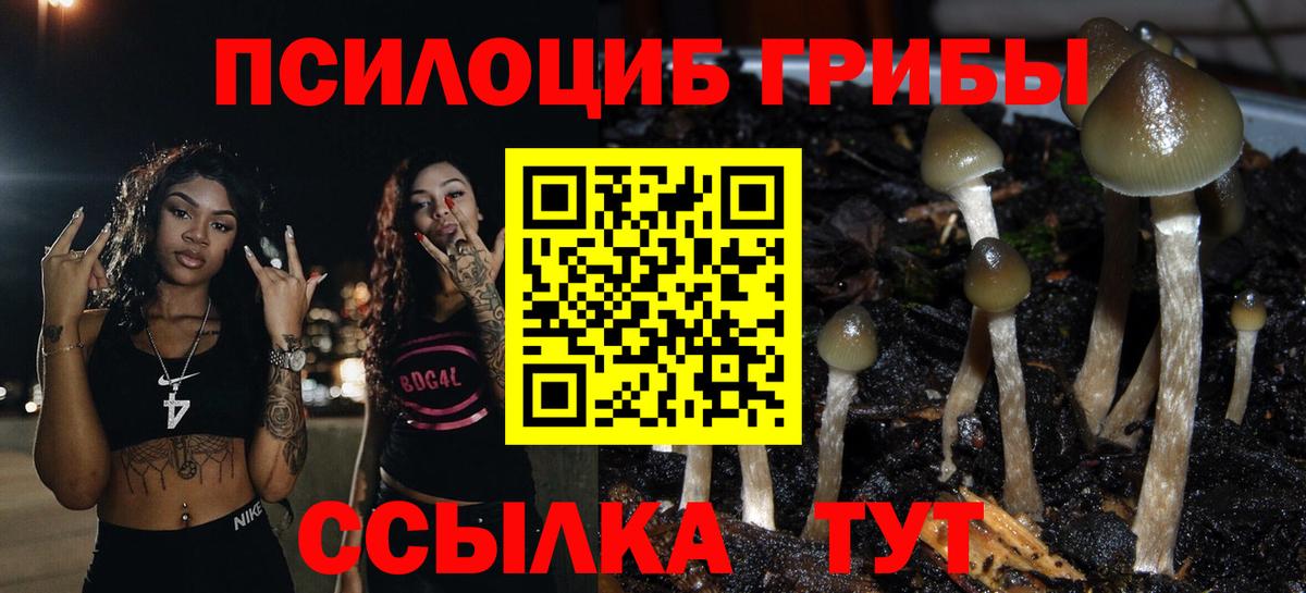 Псилоцибиновые грибы Magic Shrooms  Саров 