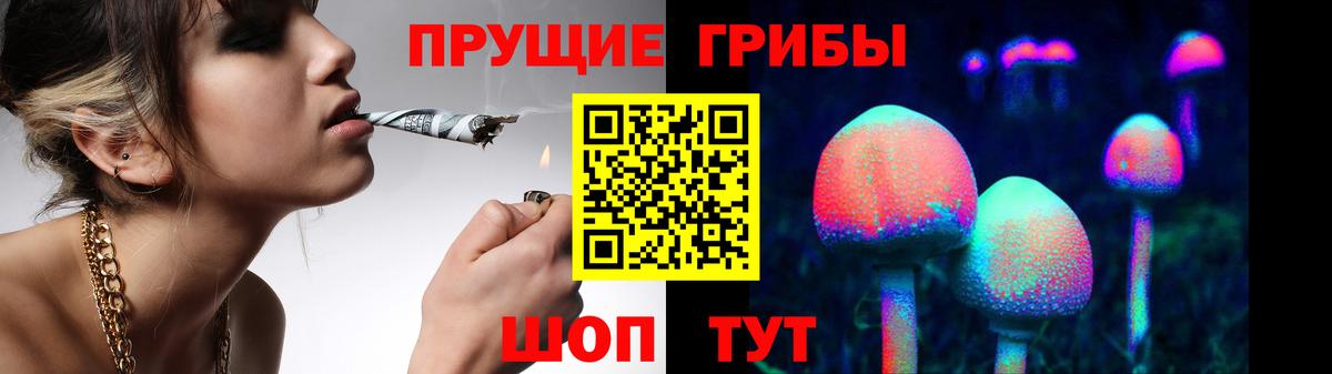 Саров  Псилоцибиновые грибы MAGIC MUSHROOMS  Вход с VPN  Галлюциногенные грибы Psilocybe 