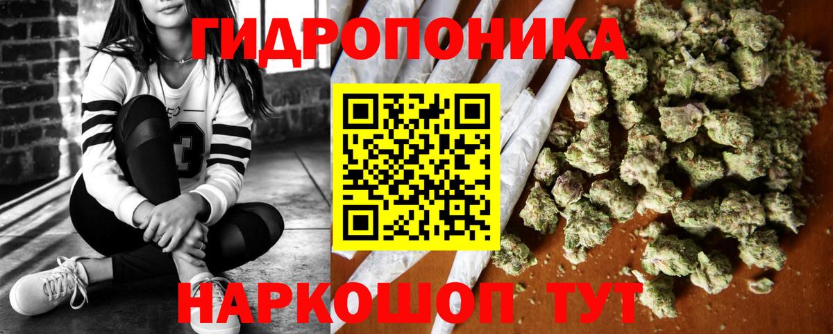 Конопля гибрид Саров